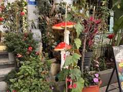 -野菌皇海景野生菌火锅(滨海大道店)