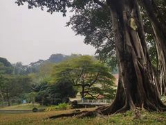 -广州雕塑公园