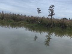 -漩门湾国家湿地公园