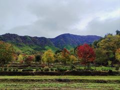 -塔川景区