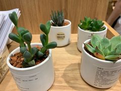 -MUJI无印良品(环球港店)