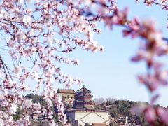 -颐和园