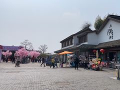 -苏州太湖国家湿地公园