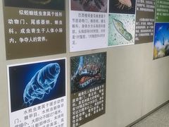 -吉林省自然博物馆