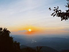 -武陵山森林公园