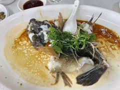 -八仔大富楼·河鲜(西江店)