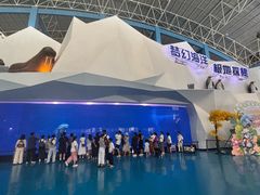 -泉城欧乐堡海洋极地世界