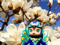 -望湖公园