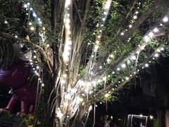 -莓园冰淇淋店