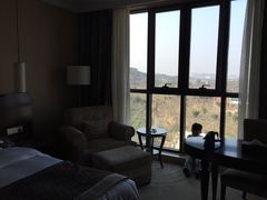 -常州环球恐龙城维景国际大酒店