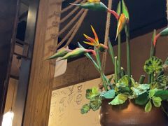 -云海肴·汽锅鸡·云南代表菜(天津国金汇店)