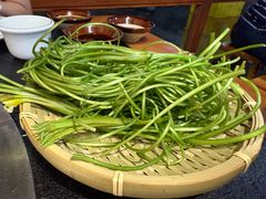 -阿山卓·野生菌火锅·纳西火塘烤肉