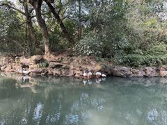 -兰亭风景区