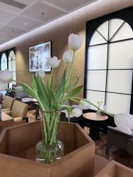 -韩辰医疗美容医院