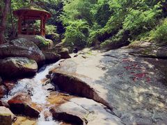 -少华山国家森林公园