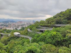 -福道