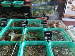 -浩运·海鲜青岛菜·海胆水饺(石老人店)