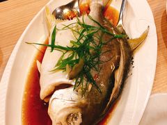 -Isla Sugbu Seafood City