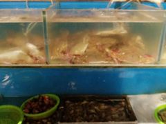 -以前的小酒馆(中山广场店)