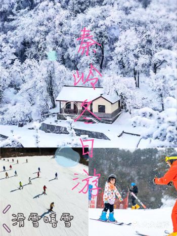 秦岭跨年两日游️南方雪乡玩转浪漫冬日攻略