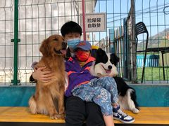 -趣玩宠物乐园寄养训犬训狗游泳池