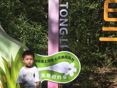 -同里国家湿地公园