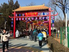 -青龙湖公园