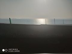 -盐洲岛