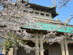 -武汉大学-樱园