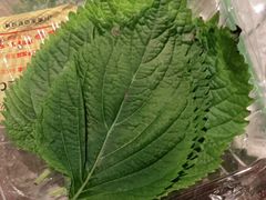 -新石器烤肉(中房金谊广场店)