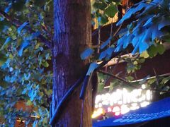 -新元素餐厅(瑞虹天地月亮湾店)