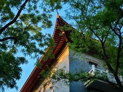 -山东大学(趵突泉校区)