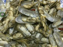-胖子饺子馆·海鲜家常菜(海军博物馆店)