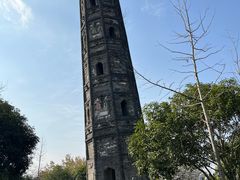 -上海佘山国家森林公园天马山园