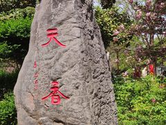 -洛阳市牡丹公园