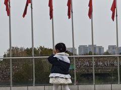 -洋湖国家湿地公园