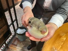 -永安鱼庄·镇江菜(丁卯店)