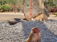 -业华湘·特色菜