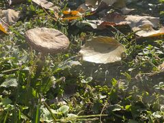 -长安大学(北校区)