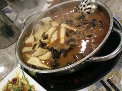 -东山羊庄(八卦岭店)