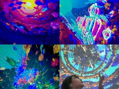 -南戴河国际娱乐中心