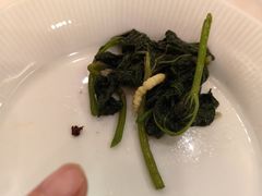 -五谷芳乳鸽王(海景店)