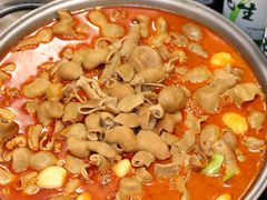 -彭记铁锅肥肠(东四总店)