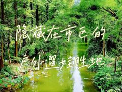 -广州市白云山风景名胜区