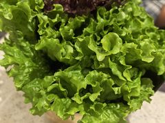 -炭之家·齐齐哈尔非遗烤肉·鲜切直供(中央大街店)
