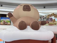 -深圳龙华星河COCO City(民治店)