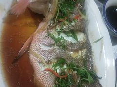 清蒸红鱼-原龙海鲜大排档(美食地标店)