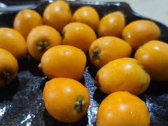 -蘑统田下·野生菌火锅