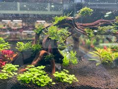 -三旗百汇商品城