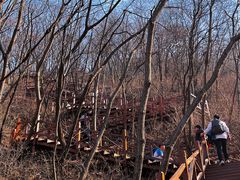 -大岭沟猕猴桃谷风景区